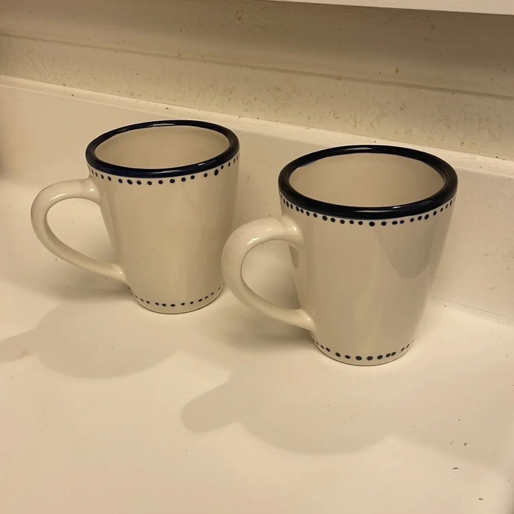 Pottery Barn cup mug set